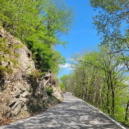 Casa Festivity לוקרנו