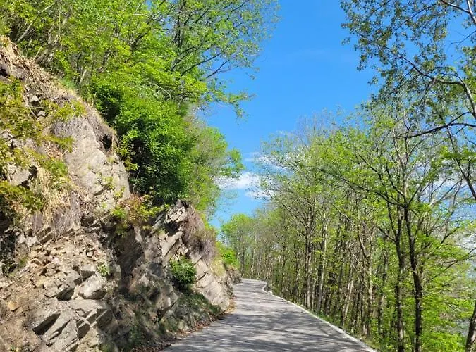 Casa Festivity Locarno