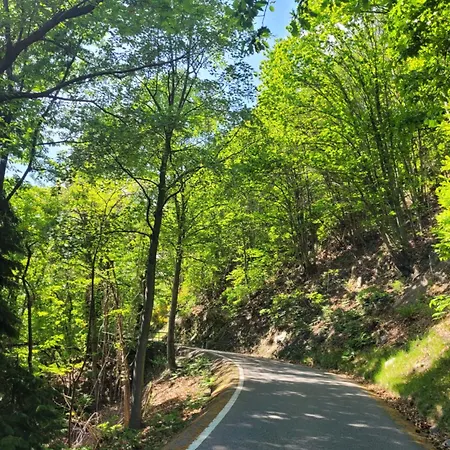 Casa Festivity * Locarno